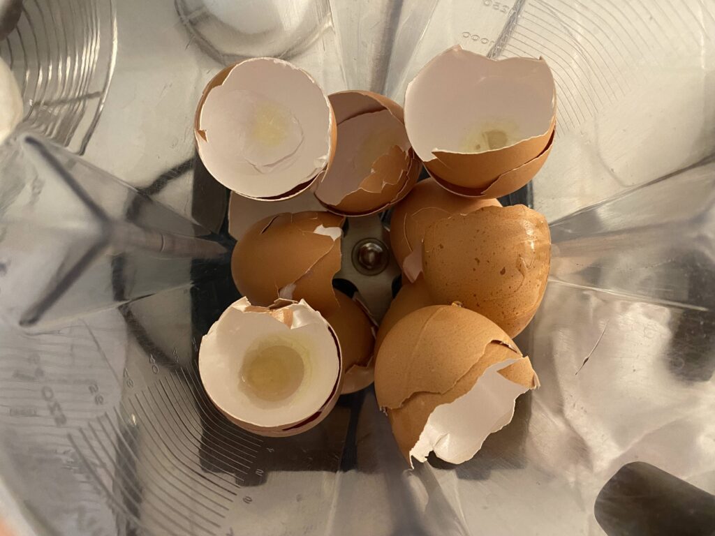 eggshells in Vitamix