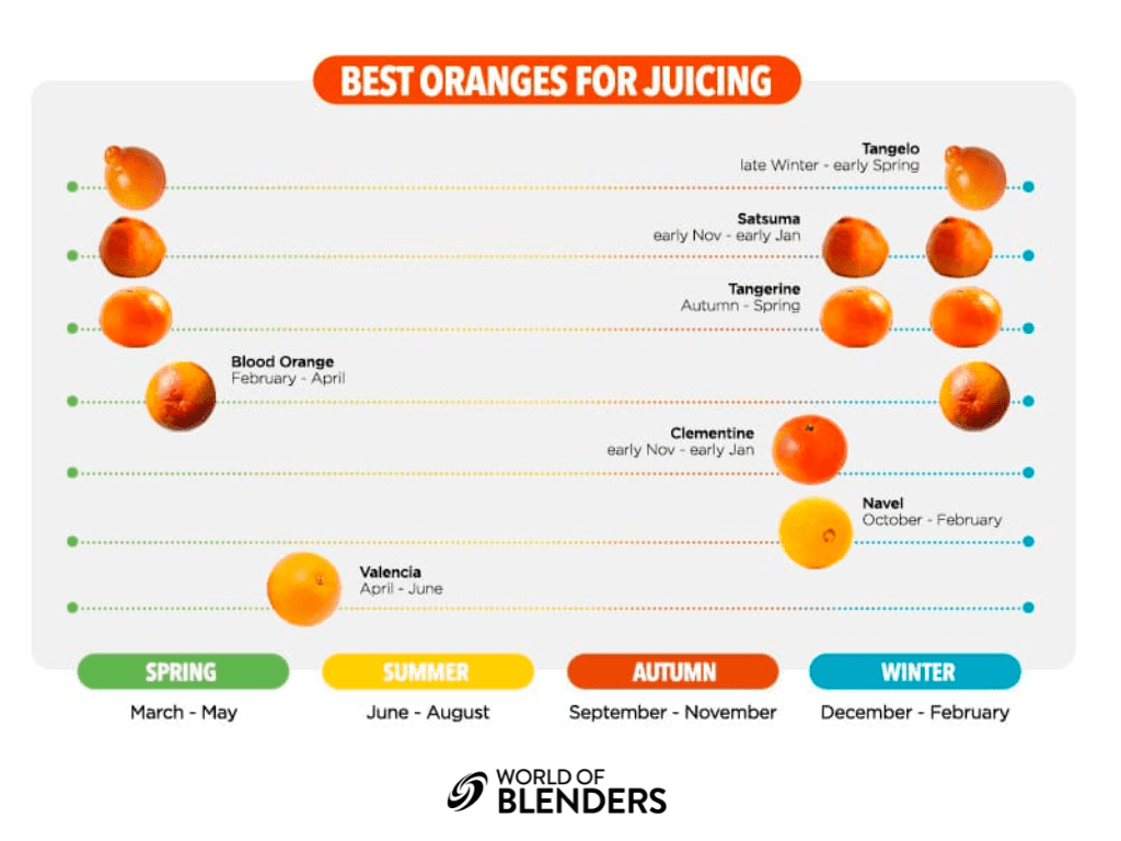 Best oranges 2025 for juicing