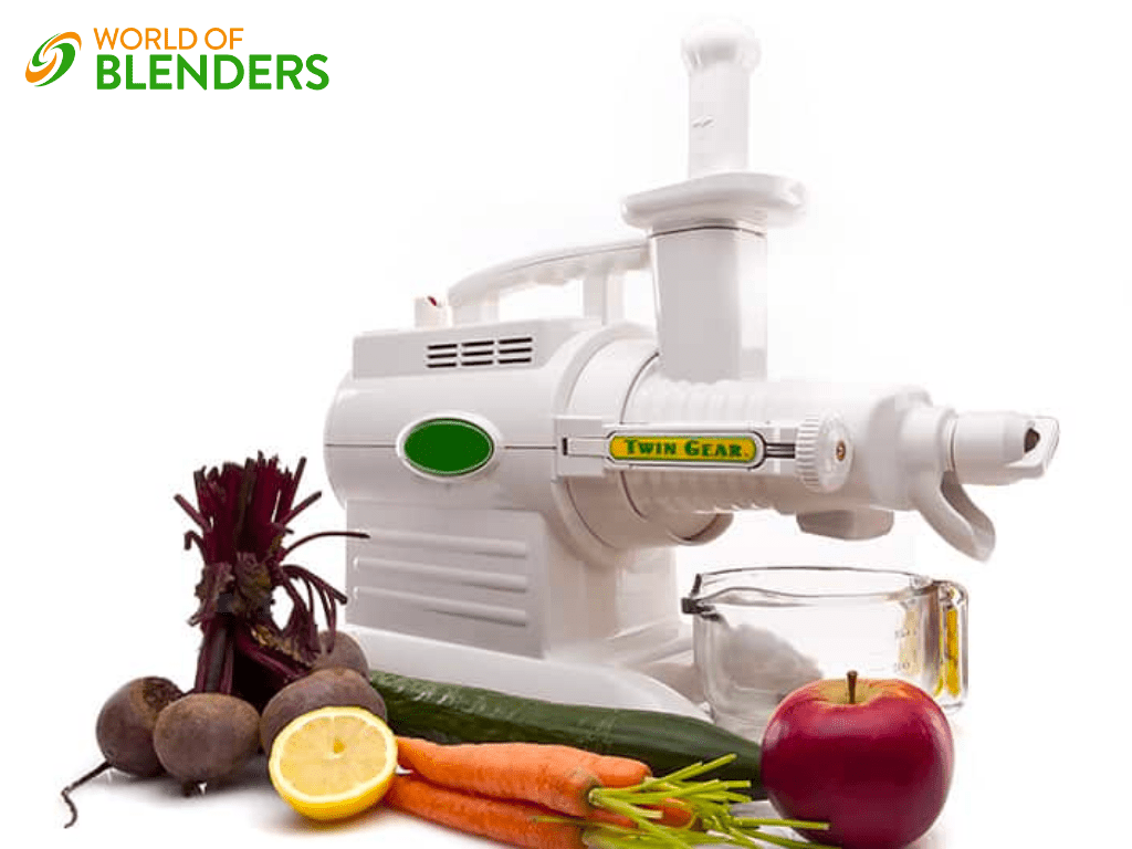 Twin gear juicer