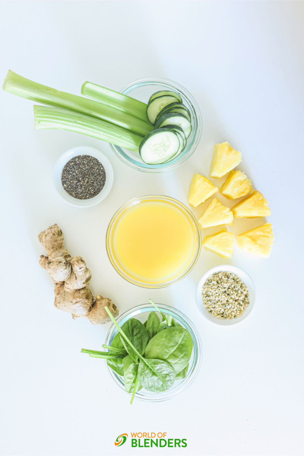 Healthy Green Detox Smoothie (15g of Fiber!)