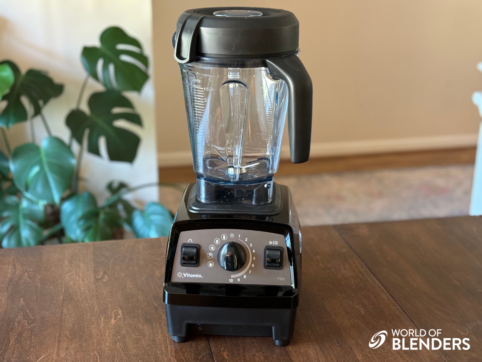 Vitamix Propel 750 Review (Our New Favorite Blender!) World of Blenders